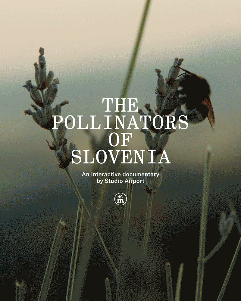 The Pollinators of Slovenia